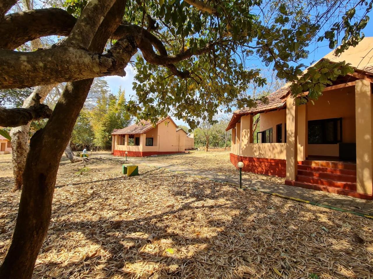The Country Club Wildlife Resorts Bandipūr المظهر الخارجي الصورة
